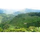 Colombie Valle del Cauca - Planadas - Granja La Esperanza - Finca Potosi - 250g