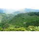 Colombie Valle del Cauca - Planadas - Granja La Esperanza - Finca Potosi - 250g