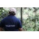 Indonésie Sumatra Gayo Mountain Issu de l' Agriculture Biologique